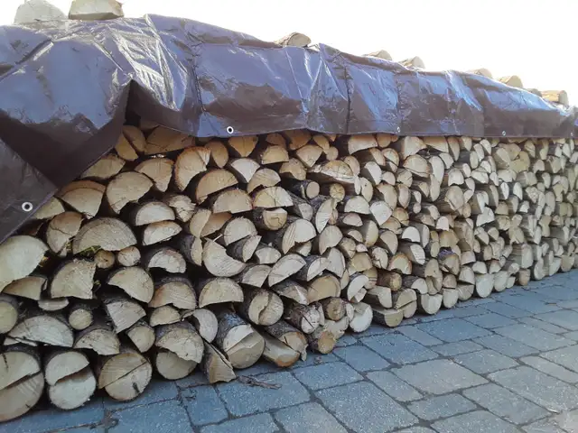 TRANSCONA Spruce Firewood Lady