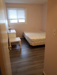 Room for rent $620/month Red Deer - Photo 2