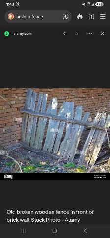 Junk / Garbage removal Demolition - Photo 3