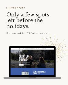 WEBSITE DESIGN FOR SMALL BUSINESSES | STARTING AT $500 - Photo 4