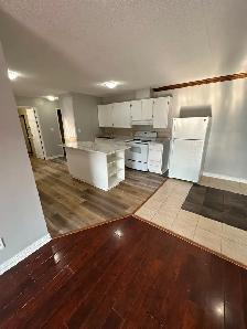 Two Bedroom Available Now in Minnow Lake - Photo 3