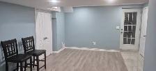 walkout basement for rent - Photo 4