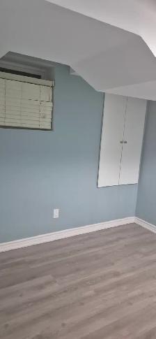 walkout basement for rent - Photo 5