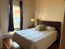 FURNISHED AND PAINTED ONE BEDROOM APARTMENT DOWNTOWN TORONTO - Photo 4
