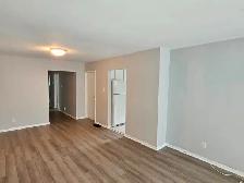 Main floor 3 bedroom apartment in North York - Photo 2