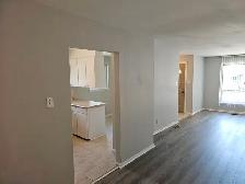 Main floor 3 bedroom apartment in North York - Photo 3