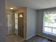 Main floor 3 bedroom apartment in North York - Photo 4