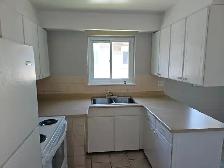 Main floor 3 bedroom apartment in North York - Photo 5