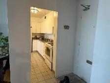 private room for rent in Bright apartment - Photo 6