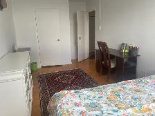private room for rent in Bright apartment - Photo 10