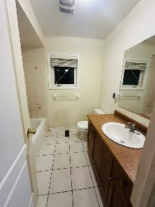 House for Rent - Photo 8