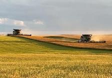 Full-Time Employment on Grain Farm