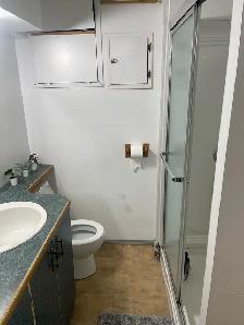 Furnished 2BR Basement Suite - Photo 8