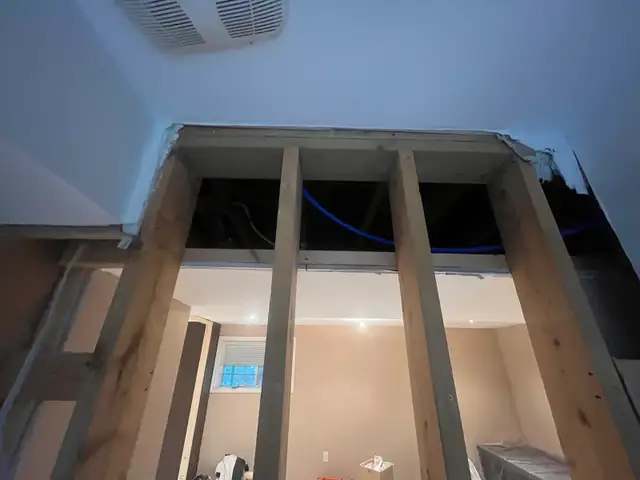 hiring professional renovators