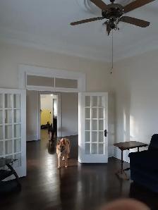 3 Bedroom apt for rent - Photo 4