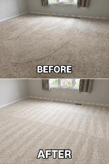 Fiber Revivers Deep Steam Carpet and Upholstery Cleaning