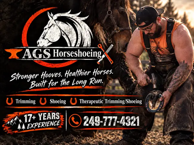 AGS HORSESHOEING