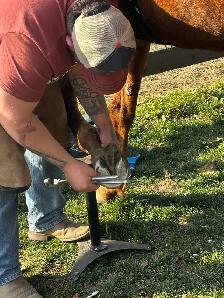 AGS HORSESHOEING - Photo 7