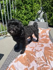 Our babies need a new home - Photo 5