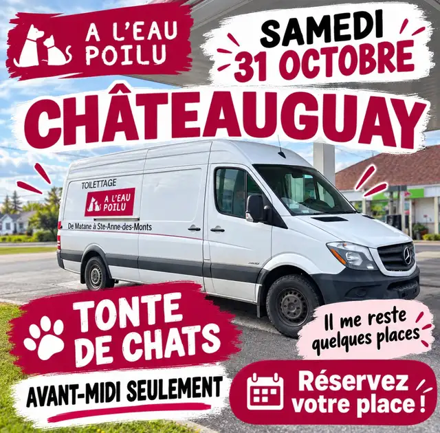 A L'Eau Poilu Toilettage Mobile