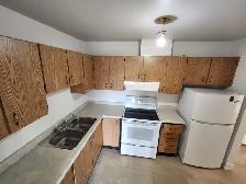 Welland 1 bedroom apartment fair size Near College and the Mall - Photo 2