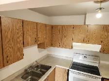 Welland 1 bedroom apartment fair size Near College and the Mall - Photo 3