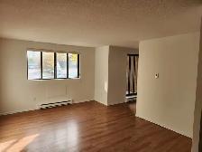 Welland 1 bedroom apartment fair size Near College and the Mall - Photo 9