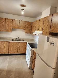 Welland 1 bedroom apartment fair size Near College and the Mall - Photo 10