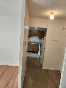 Welland 1 bedroom apartment fair size Near College and the Mall - Photo 11