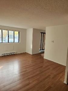 Welland 1 bedroom apartment fair size Near College and the Mall - Photo 12