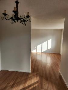 Welland 1 bedroom apartment fair size Near College and the Mall - Photo 13