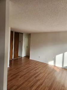 Welland 1 bedroom apartment fair size Near College and the Mall - Photo 14