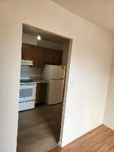 Welland 1 bedroom apartment fair size Near College and the Mall - Photo 15