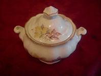 Royal Doulton - Devon