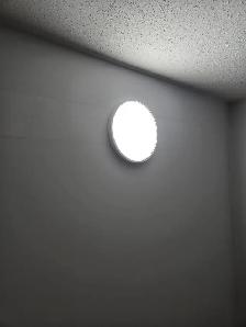 Studio Basement with separate entrance - Photo 12