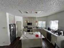 newly painted cabinets for sale - Photo 5