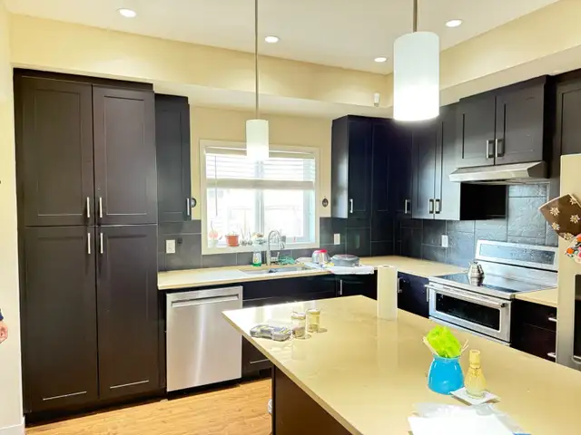 kitchen cabinet painting and refinishing