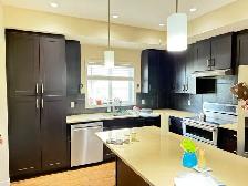 kitchen cabinet painting and refinishing