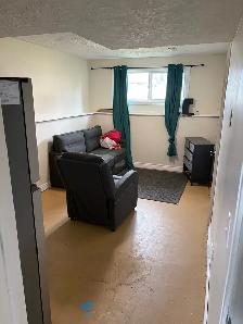 Pet friendly 2 bedroom Semi private basement  w/ Shared Kitchen