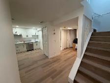 Bright Legal 1-Bedroom Basement Suite – Edgemont | $1,150/month - Photo 4