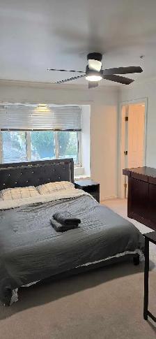 Master bedroom - Photo 2