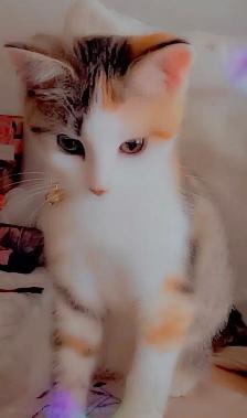 Sweet Baby Girl - Photo 3