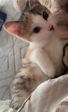 Sweet Baby Girl - Photo 8