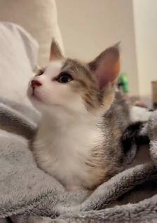Sweet Baby Girl - Photo 9