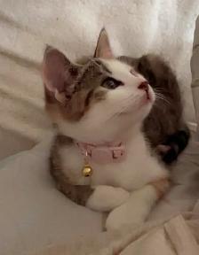 Sweet Baby Girl - Photo 10