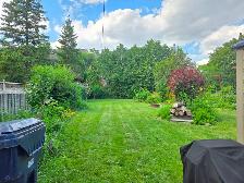 : YONGE / FINCH –Prime Location BSMT Bachelor Own Kitchen & Bath - Photo 9