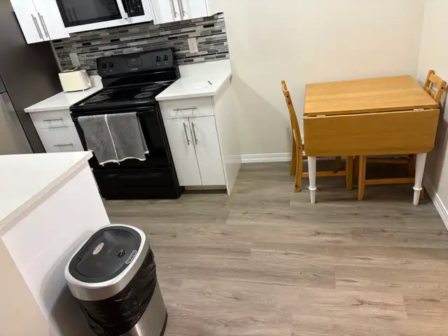 Fully renovated furnished one bed one bed condo