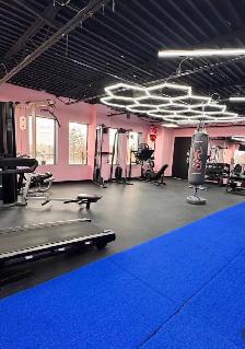 Established Indoor Soccer Business For Sale - Vaughan Location - Photo 6