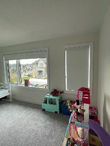 Motorized Blinds Vaughan | Remote Control Zebra & Roller Shades - Photo 3
