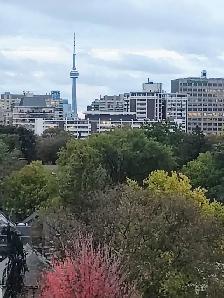 TORONTO ROOMS MIDTOWN STUDY ABROAD INTERNATIONAL STUDENT HOUSING